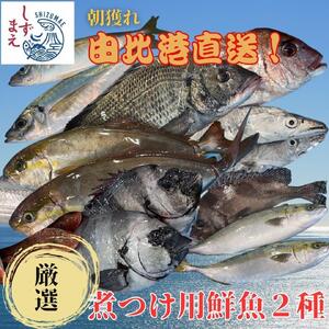 しずまえ!煮つけ用鮮魚ボックス(厳選2種入り)