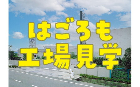 [7月31日(木)午前開催]体験企画「シーチキン工場見学」親子ペアチケット◆お土産付き