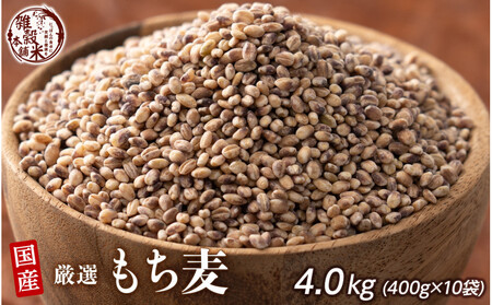  4.0kg(400g×10)