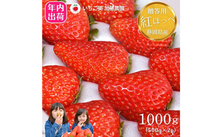 ys\tzyN͂IIpz ÉY gق 500g×2pbNi1pbN12`15j ①zyzsFkCEEz  t[c