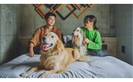 [愛犬と一緒に泊まれるホテル・1HOTEL]ふるさと納税宿泊ギフト券30,000円分
