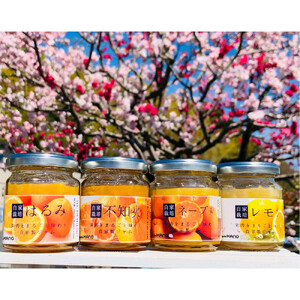柑橘農家手作り! 無添加柑橘ジャム 4種食べ比べセット フルーツ 柑橘 オレンジ◇