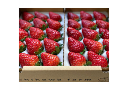 ys\z_I É2pbNi900g^ECx[Egق؁ji①  t[cj