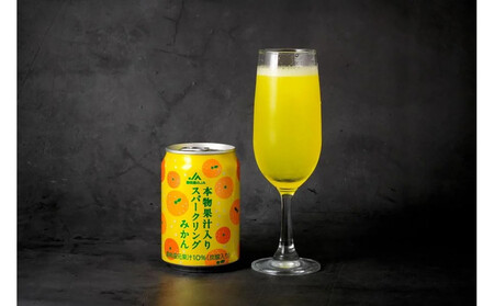 {ʏ`@Xp[NO݂@280ml@24ʓ×1P[X
