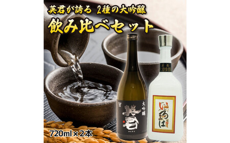 英君 大吟醸 飲み比べセット[720mL×2本セット]