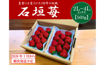 [2026年1月より順次発送]静岡特産・石垣苺 2L〜4Lミックス 約280g×2パック★紅ほっぺ