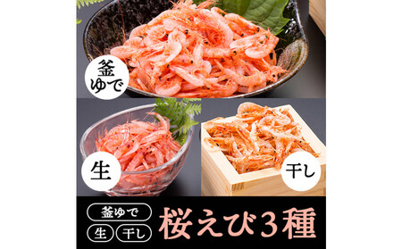 桜えび3種セット[配送不可:離島]