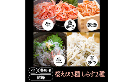 桜えび3種、しらす2種セット[配送不可:離島]