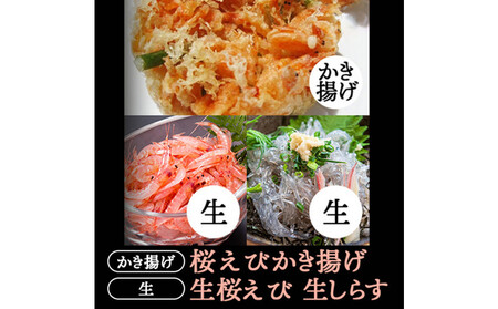 生桜えび、生しらす、桜えびかき揚げセット[配送不可:離島]
