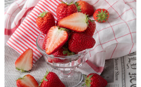 苺屋いちかわ農園直送!その時一番おいしいイチゴ2パックセット[配送不可:沖縄県・離島]