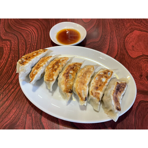 肉餃子 45個【配送不可：沖縄県・離島】