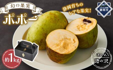 [2025年9月中旬頃より発送 受付締切9月20日]ポポー 約1kg[受取日事前打合せ可能な方限定][配送不可:離島]幻の果実 レア フルーツ ポポー 健康 美容 美肌 ファーム池の沢 静岡市◇