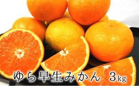 [2025年10月上旬より順次発送]甘みと酸味がギュッ ゆら早生みかん3kg★★◆
