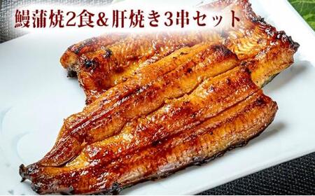 [うなぎの篝火]国産うなぎ真空パック蒲焼2食・鰻肝焼き3串セット [配送不可:離島]