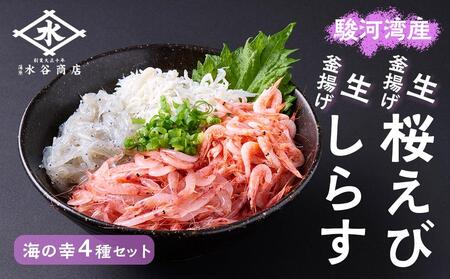 x͘pY@85gAg75gA炷100gAg炷160g 4l