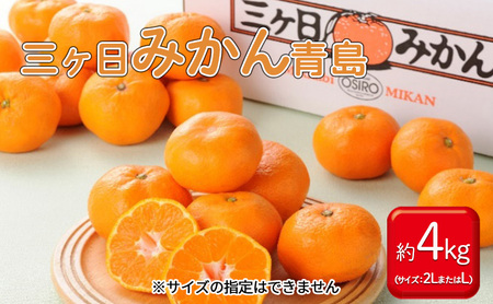 三ヶ日みかん 青島 4kg L又は2L 1月中旬より順次発送 みかん ミカン 蜜柑 青島みかん 三ヶ日 果物 くだもの フルーツ 旬の果物 旬のフルーツ 柑橘 柑橘類 糖度 静岡 静岡県 浜松市