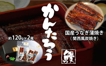 国産うなぎ蒲焼き( 関西風炭焼き)約120g×2尾[配送不可:離島]