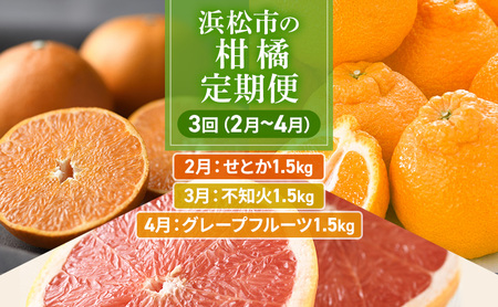[2025年2月上旬より発送]浜松市の柑橘定期便 3回(2月〜4月)せとか・不知火・グレープフルーツ