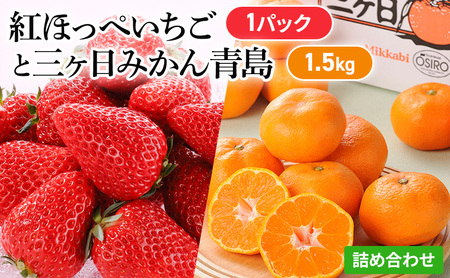 [2025年1月中旬より順次発送]紅ほっぺいちご 1パックと三ヶ日みかん青島 1.5kg 詰合せ[配送不可:離島]