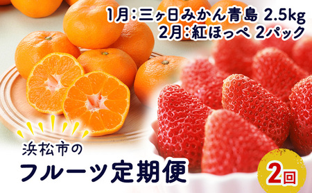 [2025年1月中旬より発送]浜松市のフルーツ定期便 2回(1月〜2月)三ヶ日みかん青島・紅ほっぺ[配送不可:離島]