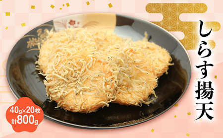しらす揚天 40g×20枚 計800g 国産 静岡県 練り物 おつまみ おでん 煮物 食材 料理 食品