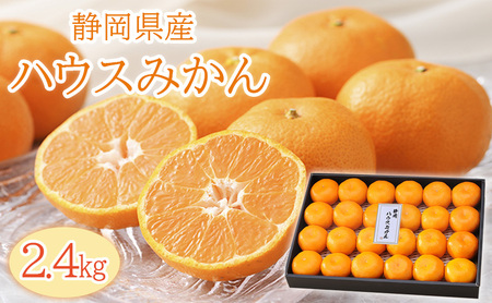 y2026N6{菇zÉlsYnEX݂2.4kg