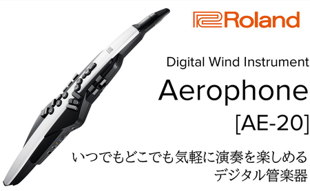 [Roland]電子管楽器/Aerophone AE-20[配送不可:離島]