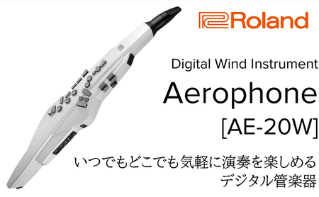 [Roland]電子管楽器/Aerophone AE-20W(パールホワイト)[配送不可:離島]