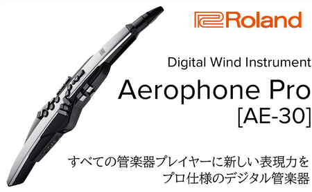 [Roland]電子管楽器/Aerophone Pro AE-30[配送不可:離島]