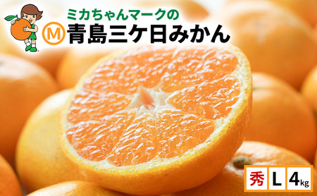 ~J}[Ńu}GOP݂vGL4kg(29`32) ݂ ~J t[c ʕ ls É