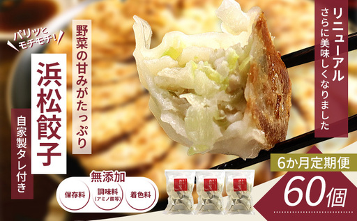 【定期便6回】浜松餃子 60個 (20個×3袋) セット 詰め合わせ 餃子のタレ 小袋 知久屋 国産 ぎょうざ 餃子 ギョーザ 冷凍餃子 静岡 静岡県 浜松市 【配送不可：離島】