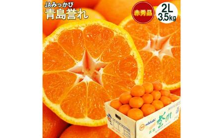 三ヶ日みかん 本貯蔵 青島 誉れ [赤秀]2Lサイズ3.5キロ(20個前後) ミカン 果物 くだもの フルーツ 甘い 浜松市 果物類 柑橘類