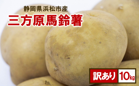 静岡県浜松市産 訳あり 三方原馬鈴薯 10kg 男爵 じゃがいも じゃが芋 ジャガイモ 国産 野菜 浜松市