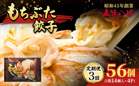 [定期便3回] もちぶた餃子56個(1袋14個入×4パック) 五味八珍 餃子 ぎょうざ ギョウザ 国産 ブランド豚 もち豚 浜松餃子 冷凍餃子 冷凍 さっぱり 甘み 惣菜 中華 点心 静岡県 浜松市