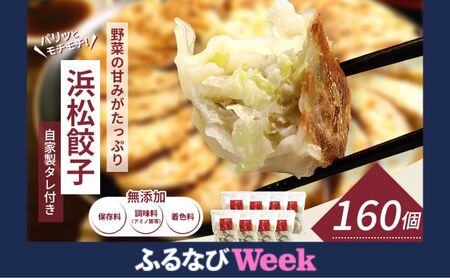[ふるなびWEEK対象]浜松餃子 知久屋 山盛り セット 160個 (20個×8袋) 詰め合わせ 自家製 たれ 32袋 ぎょうざ 餃子 ギョーザ 冷凍餃子 冷凍ぎょうざ 冷凍 冷凍食品 中華 惣菜 食品 おかず 静岡 静岡県 浜松市 [配送不可:離島]