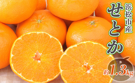 [2027年2月より順次発送] 後藤みかん農園 せとか 約1.3kg 大玉 ハウス 果物 くだもの 旬のフルーツ 旬の果物 季節のフルーツ 季節の果物 柑橘 柑橘類 静岡 浜松市