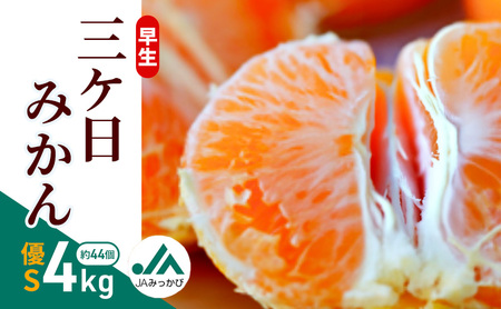 早生三ケ日みかん 優S 4kg (約44個)みかん ミカン フルーツ 果物 くだもの 機能性表示食品 浜松市