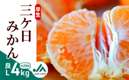 早生三ケ日みかん 良L 4kg (約28個) みかん ミカン フルーツ 果物 くだもの 機能性表示食品 浜松市