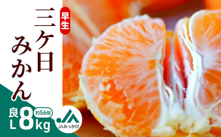 OP݂ L 8kg i56j ݂ ~J t[c ʕ  @\\Hi ls