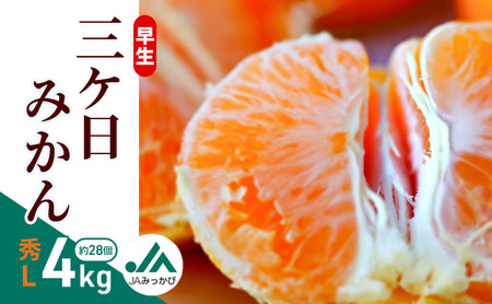 OP݂ GL 4kg i28j ݂ ~J t[c ʕ  @\\Hi ls