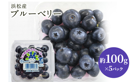 [浜松市産]ブルーベリー 約100g×5パック 計約500g 甘酸っぱい アントシアニン 食物繊維 ビタミン ミネラル 抗酸化作用 腸内環境改善 美容 美肌 健康 静岡県 浜松市
