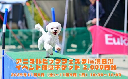 アニマルピックフェスタin浜名湖 イベント体験チケット 2,000円分 抽選会参加券付き 回数券 チケット 動物 アニマル 静岡 浜松市