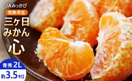 JA݂ n O݂uSv G2L 3.5kg ݂ ~J t[c ʕ É ls