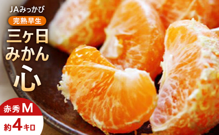 JA݂ n O݂uSv ԏGM 4kg ݂ ~J t[c ʕ É ls