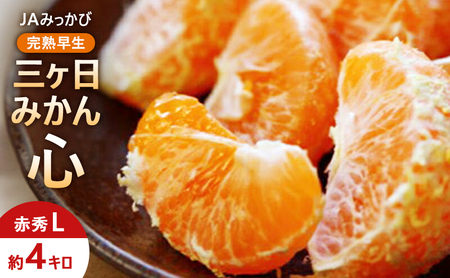 JA݂ n O݂uSv ԏGL 4kg ݂ ~J t[c ʕ É ls