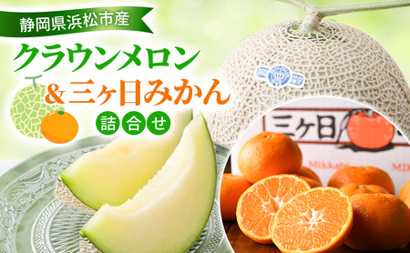 y2026N11z NEO݂l NE11.3Kg  O݂ij2Kg ML  ~J l t[c ʕ É ls