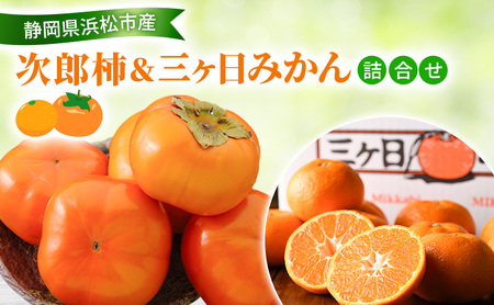[2026年11月発送] 次郎柿&三ヶ日みかん詰合せ 次郎柿9〜12個 約2.5Kg 三ケ日みかん 約3Kg M〜L 柿 かき みかん ミカン 蜜柑 セット商品 詰合せ フルーツセット フルーツ 果物 くだもの 静岡県 浜松市