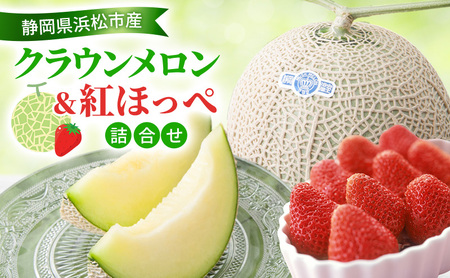 y2026N1z NEgق؂ l킹 NE11.3Kg  gق  260g 1pbN  C`S  Zbgi yzsFzÉ ls