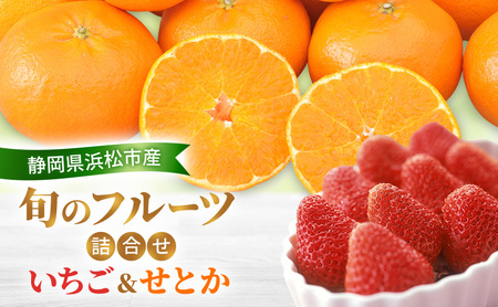 [2026年2月発送] 旬のフルーツ詰合せ いちご&せとか 紅ほっぺまたはきらび香 約260g1パック せとか4個約800g 柑橘の最高峰 苺 ミカン 蜜柑 [配送不可:離島] フルーツセット 静岡 浜松市