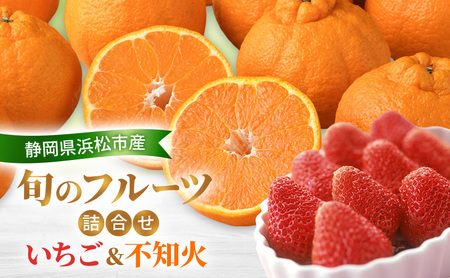[2026年2月発送] 旬のフルーツ詰合せ いちご&不知火 紅ほっぺまたはきらぴ香 約260g1パック 不知火4個約800g しらぬい デコ 苺 ミカン [配送不可:離島] フルーツセット 静岡 浜松市